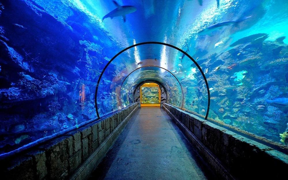 Mandalay Bay Resort And Casino By Suiteness Las Vegas Exteriér fotografie